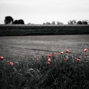 法国大鸡巴日逼
