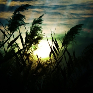 法国大鸡巴日逼
