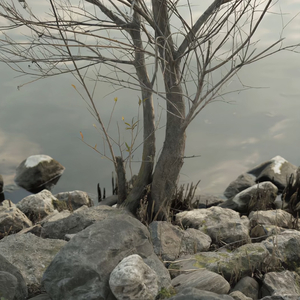 法国大鸡巴日逼
